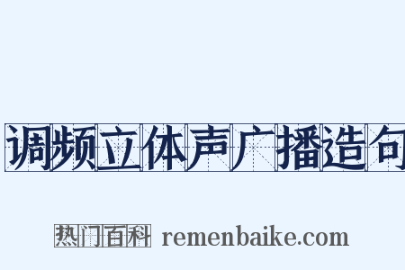 调频立体声广播造句是什么意思的图片